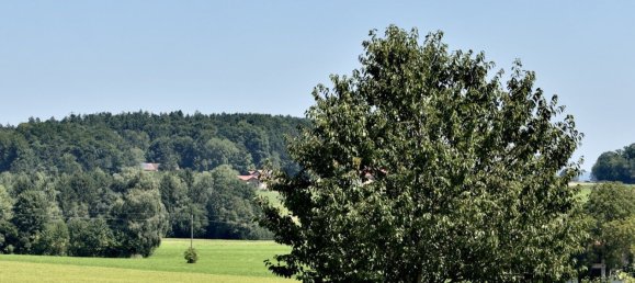  Land in Tarsdorf, Austria No. 221673 2