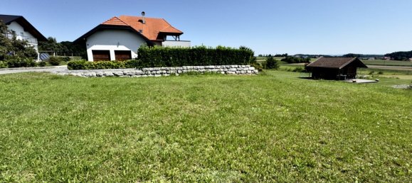  Land in Tarsdorf, Austria No. 221673 4