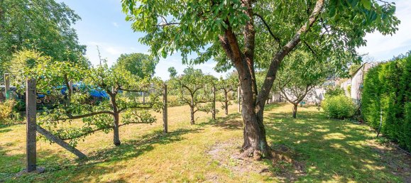 5 chambres Maison à Vieux-Condé, France No. 341578 17