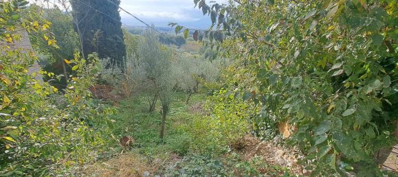 1 غرف نوم منزل في Trevi, Italy رقم 170739 17