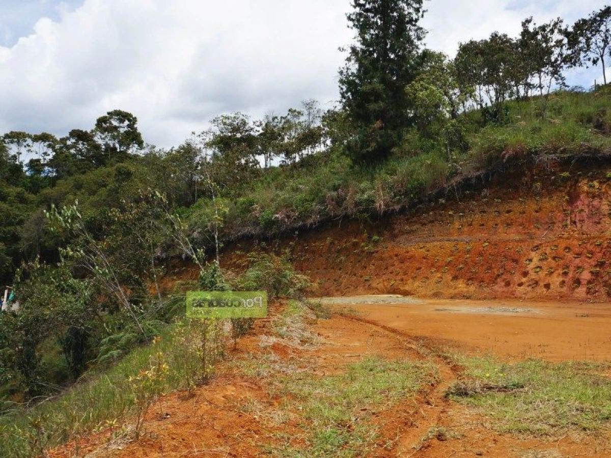 Terrain à Antioquia, Colombia No. 134
