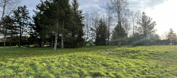 Terrain à Montrieux-en-Sologne, France No. 95275 3