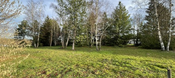 Terrain à Montrieux-en-Sologne, France No. 95275 4