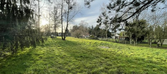 Terrain à Montrieux-en-Sologne, France No. 95275 5