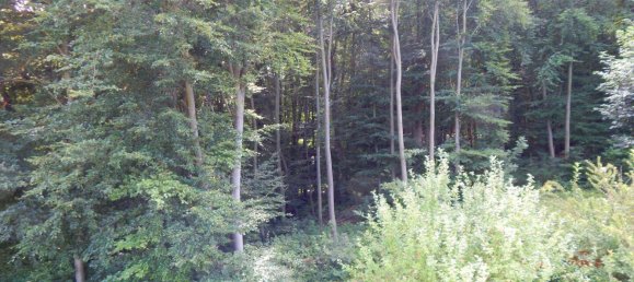 7-Zimmer Villa in Klosterneuburg, Austria, Nr. 246020 35