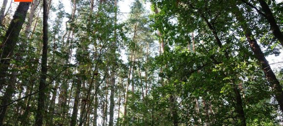 قطعة أرض في Bautzen, Germany رقم 359721 2