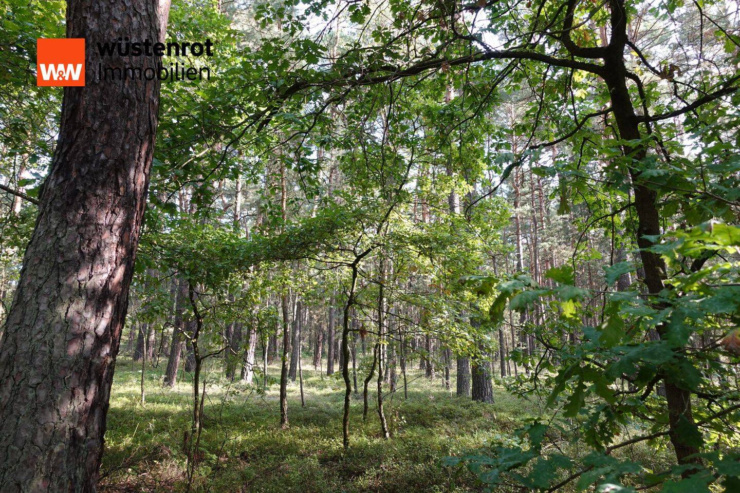  قطعة أرض في Bautzen, Germany رقم 359721