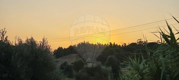  قطعة أرض في Torres Novas, Portugal رقم 224575 6