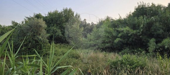  قطعة أرض في Torres Novas, Portugal رقم 224575 5