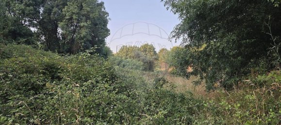  قطعة أرض في Torres Novas, Portugal رقم 224575 3