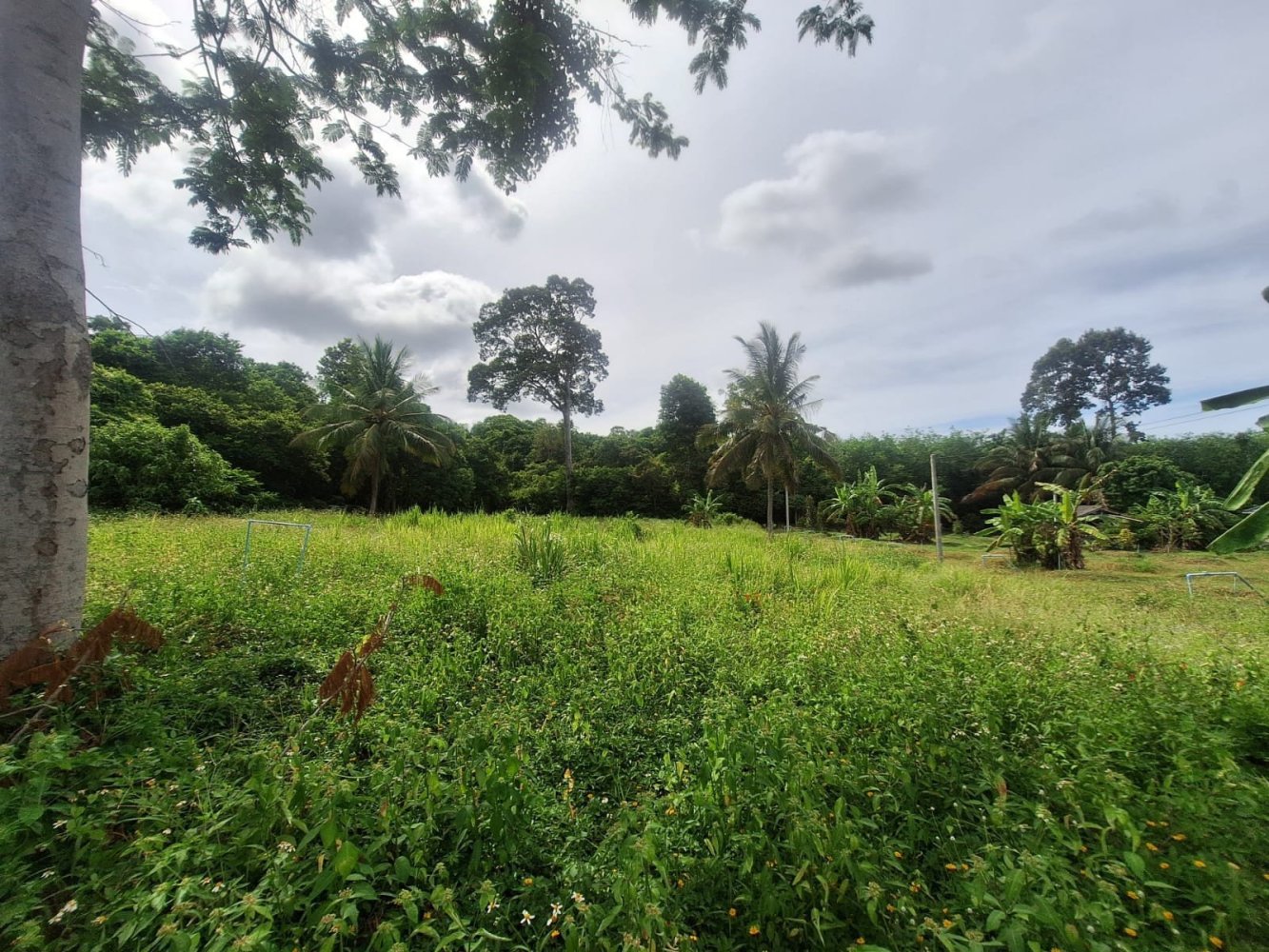  قطعة أرض في Ko Samui, Thailand رقم 59970