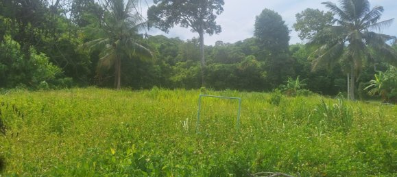 Земельный участок в Самуй, Таиланд № 59970 5