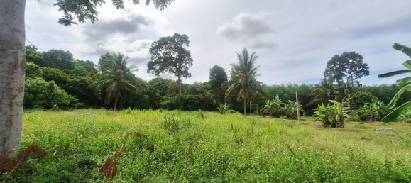 Земельный участок в Самуй, Таиланд № 59970 2