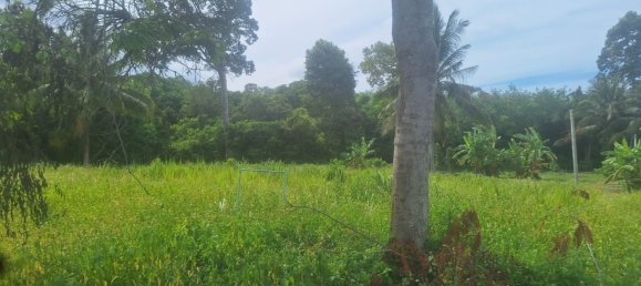 Земельный участок в Самуй, Таиланд № 59970 8