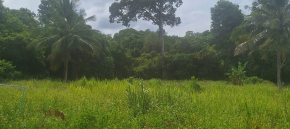 Земельный участок в Самуй, Таиланд № 59970 6