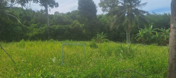 Земельный участок в Самуй, Таиланд № 59970 9