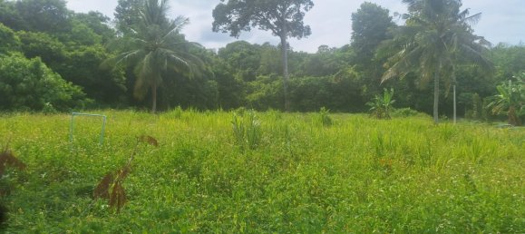 Земельный участок в Самуй, Таиланд № 59970 4