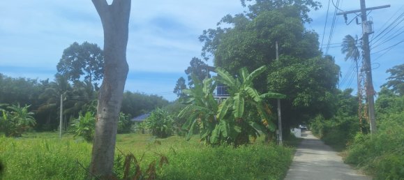 Земельный участок в Самуй, Таиланд № 59970 11