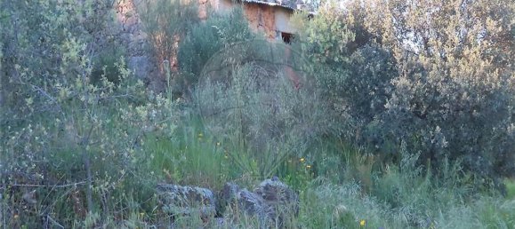 1 Schlafzimmer Haus in Orca, Portugal, Nr. 82900 6