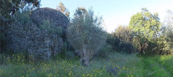 1 Schlafzimmer Haus in Orca, Portugal, Nr. 82900 10