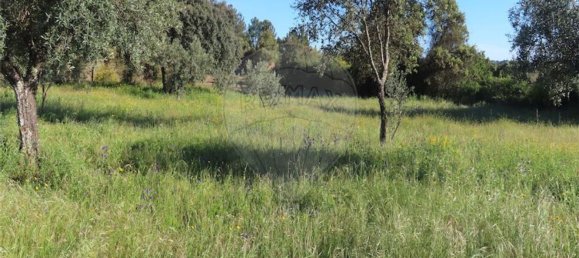 1 Schlafzimmer Haus in Orca, Portugal, Nr. 82900 14