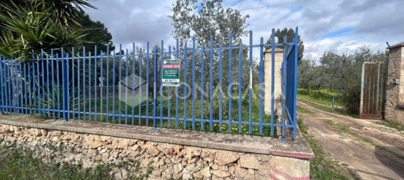 5-Zimmer Villa in Bitonto, Italy, Nr. 27149 19