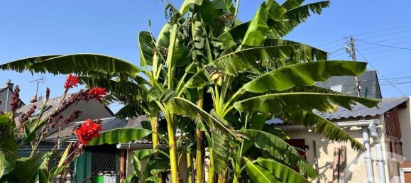 2 bedrooms House in Loir-et-Cher, France No. 254003 9