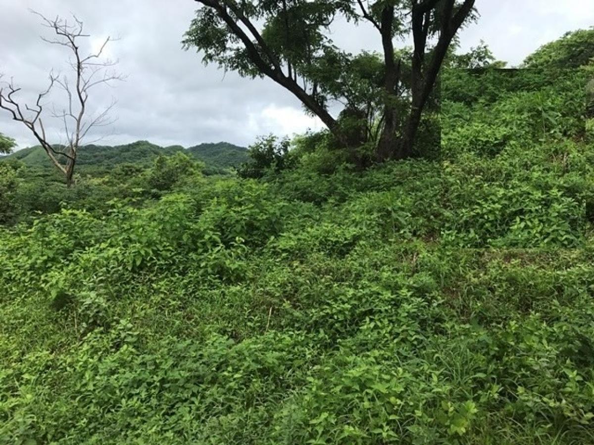 Land for sale in La Cruz, Guanacaste, Costa Rica № 1637