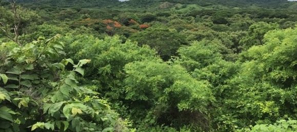 Land for sale in La Cruz, Guanacaste, Costa Rica № 1637 2