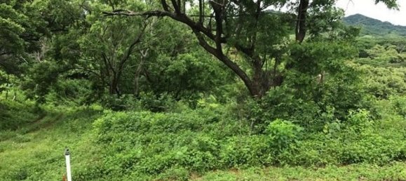 Land for sale in La Cruz, Guanacaste, Costa Rica № 1637 6
