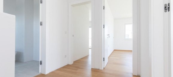 3 bedrooms House in Neusiedl am See, Austria No. 127445 6