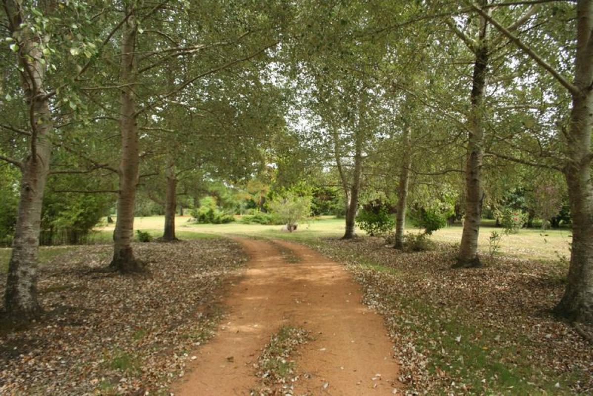 Ferme à Maldonado, Uruguay 17m² No. 14440