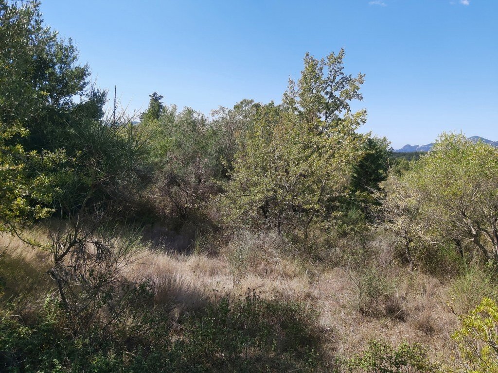 Hotel en Corfu, Greece 58000 m² No. 3467