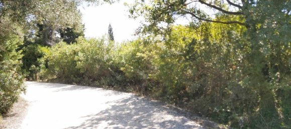 Hotel en Corfu, Greece 58000 m² No. 3467 5