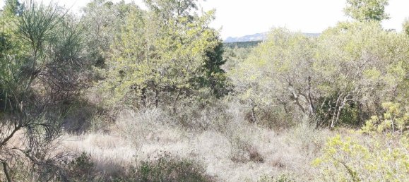 Hotel en Corfu, Greece 58000 m² No. 3467 3