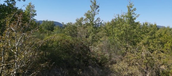 Hotel en Corfu, Greece 58000 m² No. 3467 2