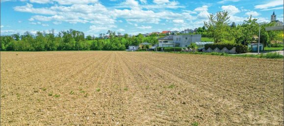  Land in Hargelsberg, Austria No. 146112 4