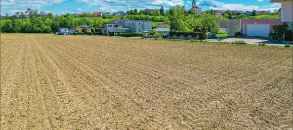  Land in Hargelsberg, Austria No. 146112 5