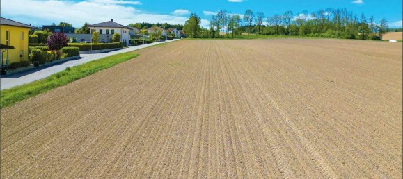  Land in Hargelsberg, Austria No. 146112 2