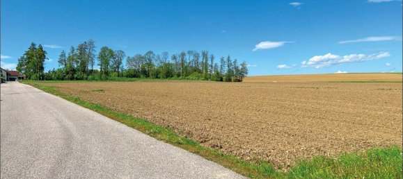  Land in Hargelsberg, Austria No. 146112 3