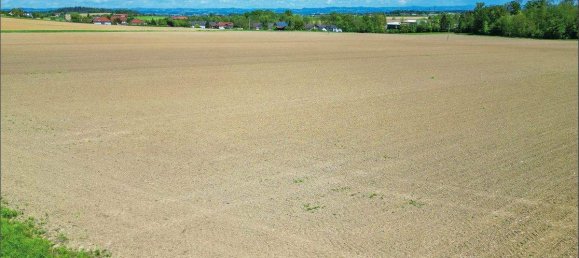  Land in Hargelsberg, Austria No. 146112 6