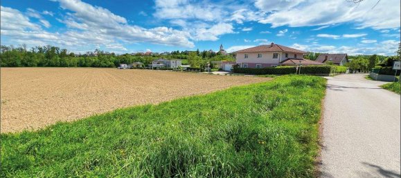  Land in Hargelsberg, Austria No. 146112 7