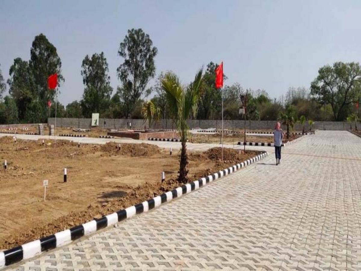  Land in Chandigarh, India No. 36493