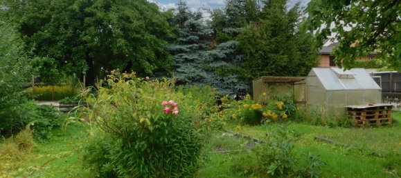 Edificio de 4 habitaciónes en Prignitz, Germany No. 79274 5