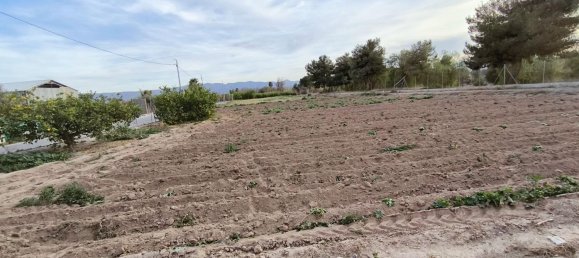 Lagerhaus in Murcia, Spain 1770m², Nr. 168989 16