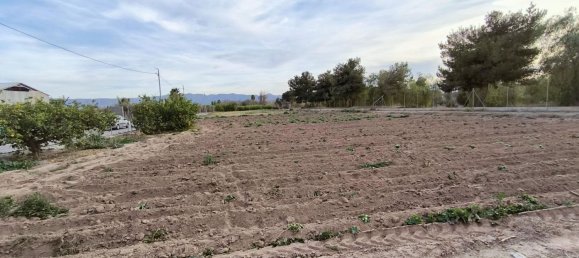 Lagerhaus in Murcia, Spain 1770m², Nr. 168989 17