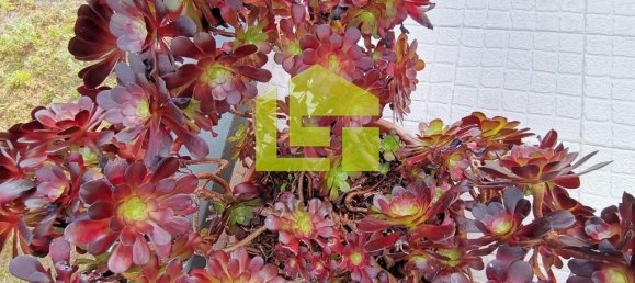 3 bedrooms Apartment in Figueira da Foz, Portugal No. 64459 19