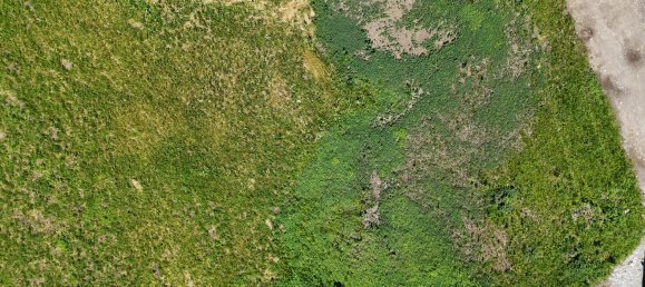 Terreno en Lechaschau, Austria No. 130457 2