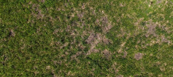 Terreno en Lechaschau, Austria No. 130457 4