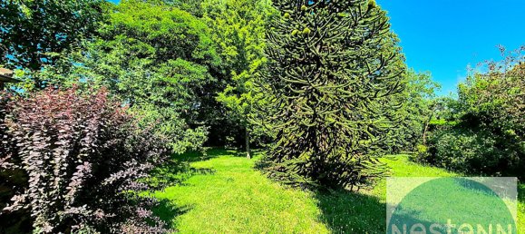 4 bedrooms House in Lailly-en-Val, France No. 214876 13